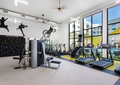 Apartments Anaheim CA - Rise - Resident Fitness Center with Treadmills, a Stair Climber, Ellipticals, Various Other Exercise Machines, and a Climbing Wall